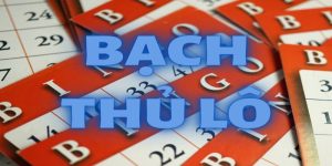 Bạch thủ lô là gì? Những điều cần biết khi soi cầu