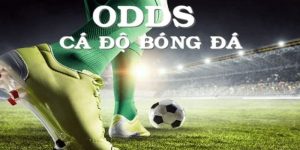 Odds là gì? Phương pháp soi tỷ lệ xrr4 khi cá cược bóng đá 