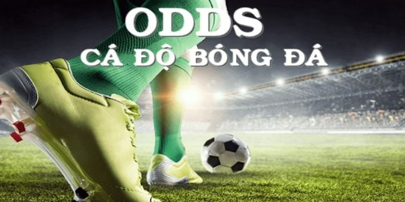 Odds là gì? Phương pháp soi tỷ lệ xrr4 khi cá cược bóng đá 
